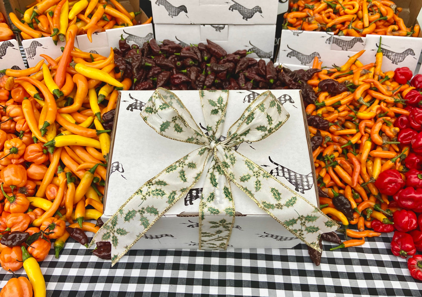 Gift Box (5 sauces/1 salt)
